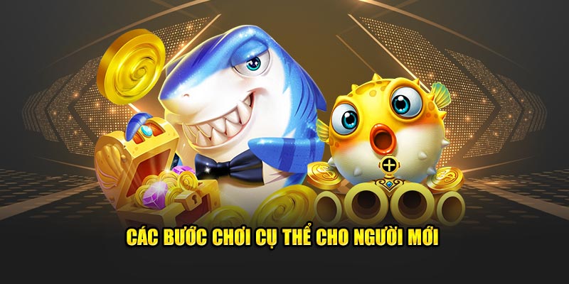 Các bước chơi cụ thể cho người mới 