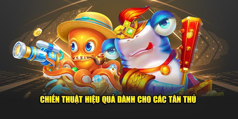 Chiến thuật hiệu quả cho người mới bắt đầu khi tham gia tại Nohu90