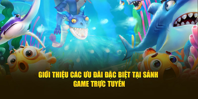 Giới thiệu các ưu đãi đặc biệt tại sảnh game trực tuyến