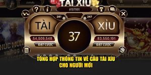 Tổng Hợp Các Cầu Tài Xỉu Thường Gặp Tại Nohu90